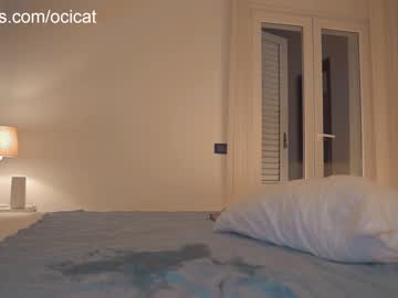 girl ocicat image #5351116