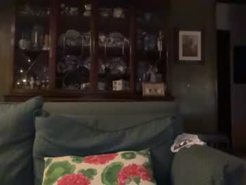 girl kaileeshy image #2659578