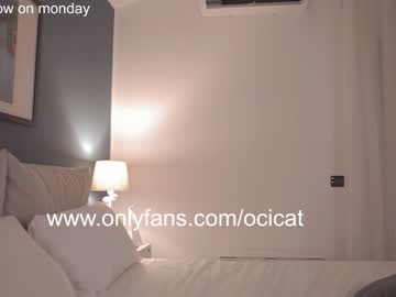 girl ocicat image #3010470