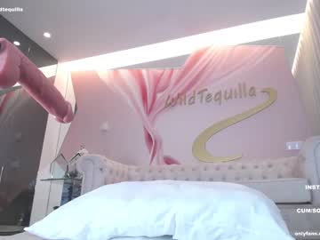 girl wildtequilla image #5717199