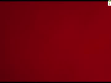 girl burmilla1 image #2240411