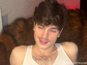 man waynenorth image #3021726