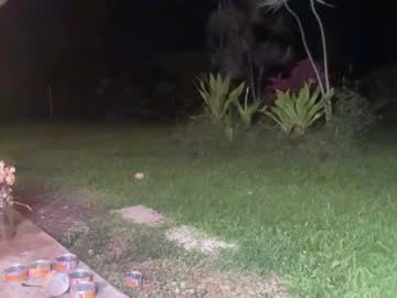 girl kaileeshy image #1942899