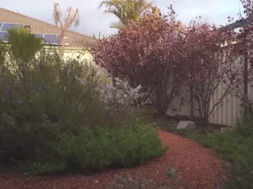 girl bibi_it_is image #5245936