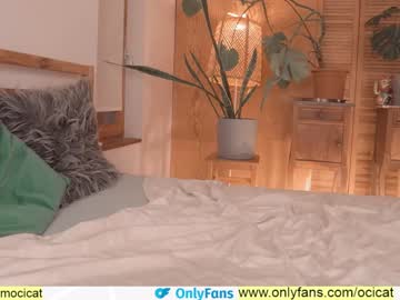 girl ocicat image #2407717