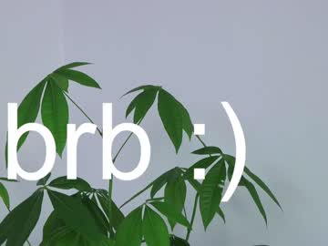 girl taralanes image #4646387