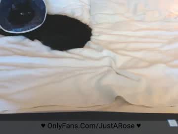 couple kittie image #140038