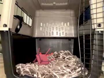 girl kaileeshy image #4628809