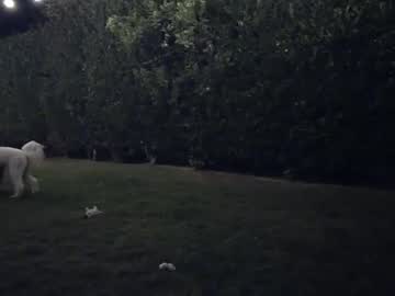 girl georgieveee image #140399