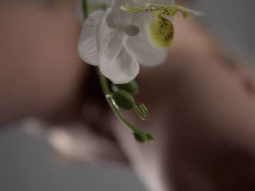 girl neferpita image #6491735