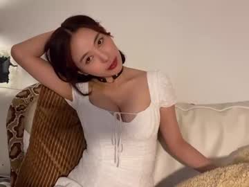 girl burmilla1 image #1945132