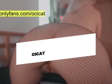 girl ocicat image #2206693