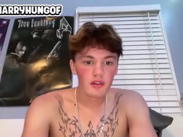 man harryhungof image #6969403