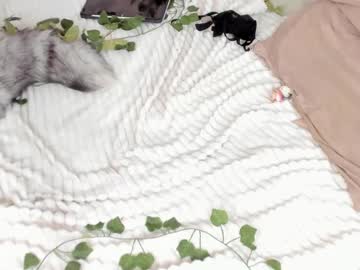 girl _servuss_ image #2264282