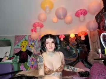 tranny little_trap99 image #5639564