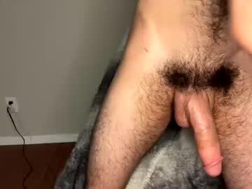 man zayn_hawk image #5164498