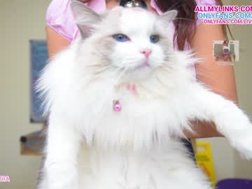 girl livecleo image #4477424