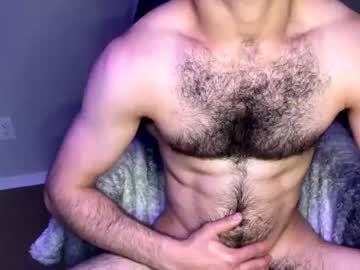 man zayn_hawk image #5488553