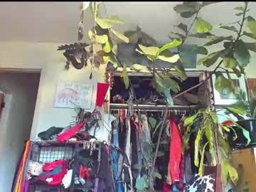 girl doxie image #3252083