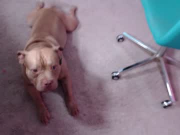girl holihurricane image #6921165