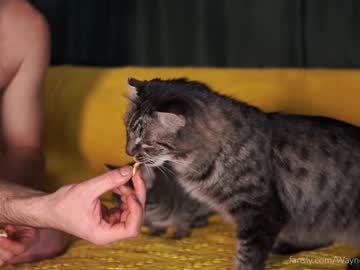 man waynenorth image #6564464