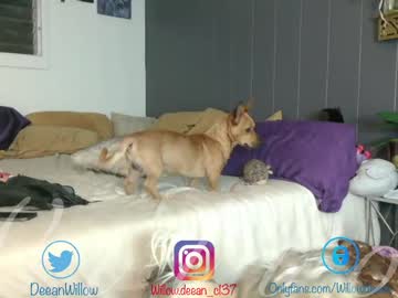 girl willowdeean image #40668