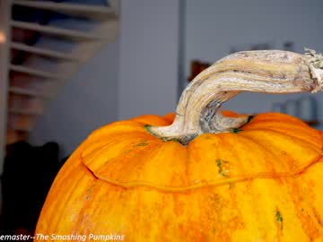 girl x_lily_x image #5529681