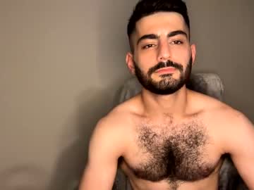 man zayn_hawk image #5200426