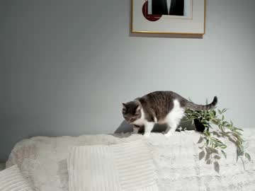 girl aria_diaz image #4947723