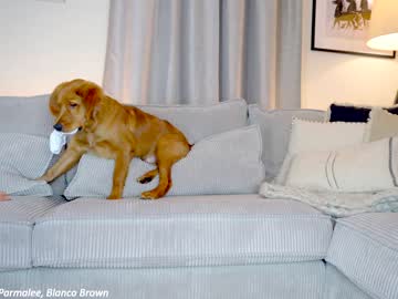 girl x_lily_x image #6391703