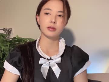 girl burmilla1 image #2855078