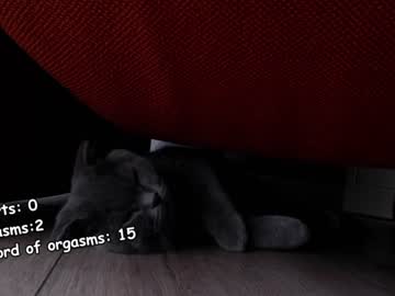 girl lissa__1 image #2753643