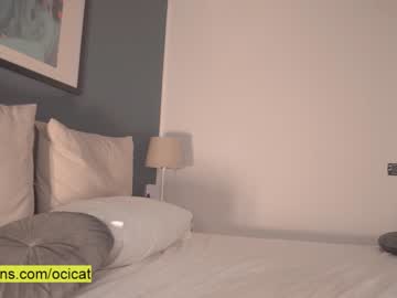girl ocicat image #2758769