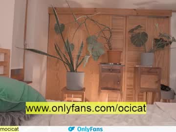 girl ocicat image #2421627