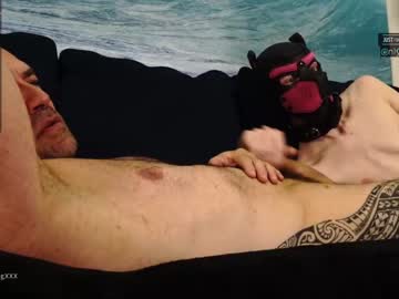 man muscle_dog image #836045